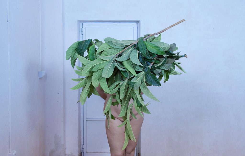 Exposición CONTEMPORARTE