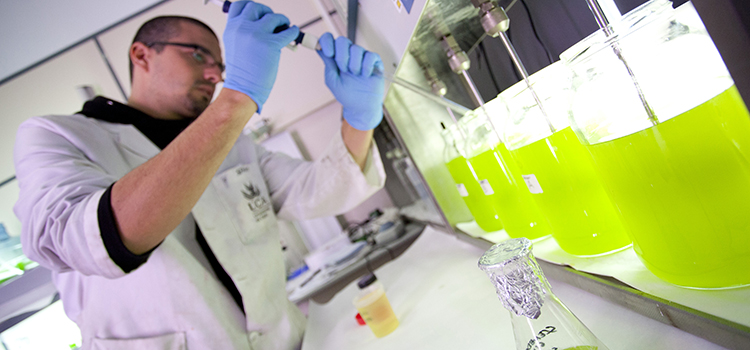 La UCA convoca contratos predoctorales para dos tesis industriales en Nanotures y otras dos en Acerinox