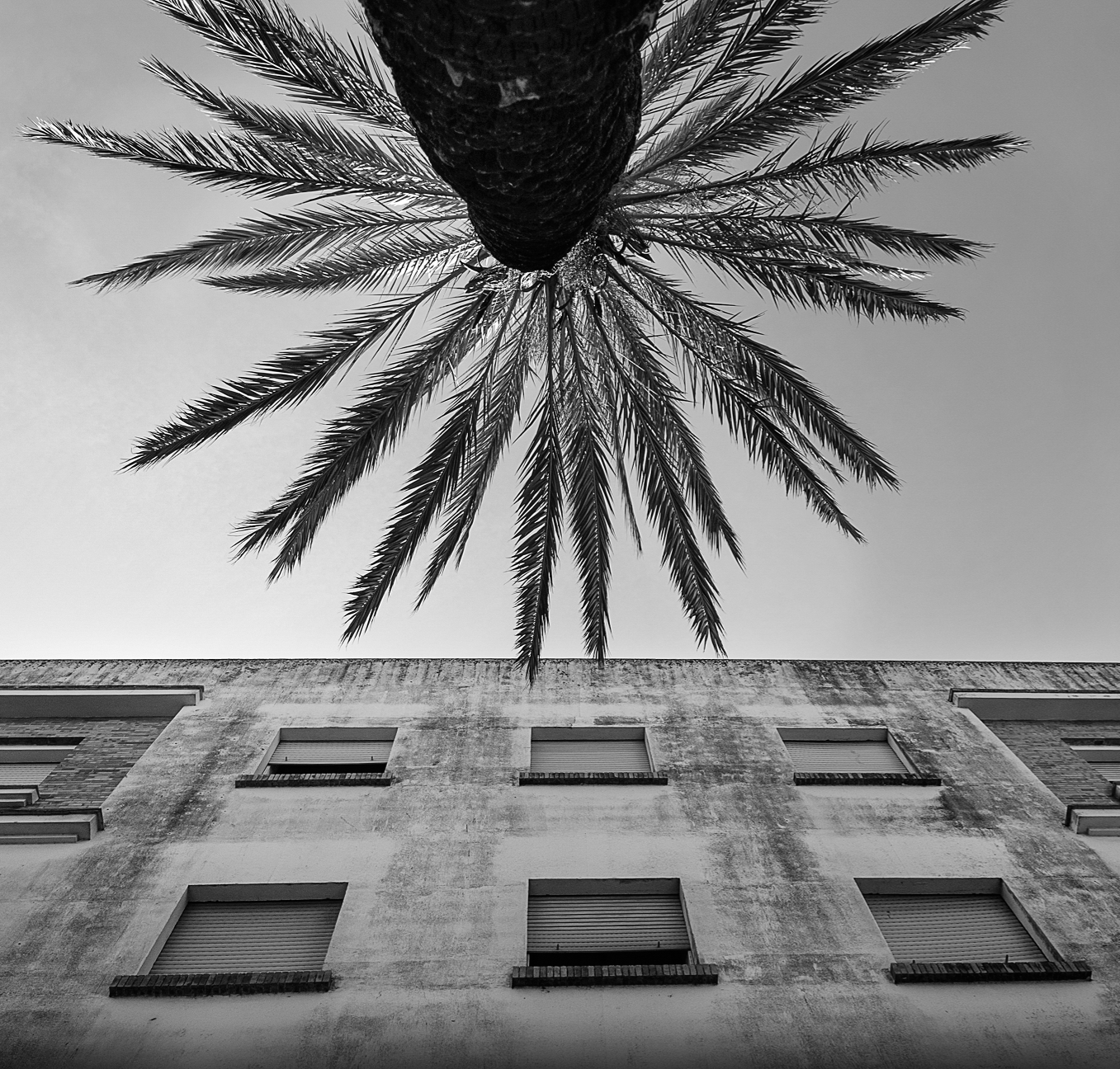 Inauguración ‘La Belleza del olvido’