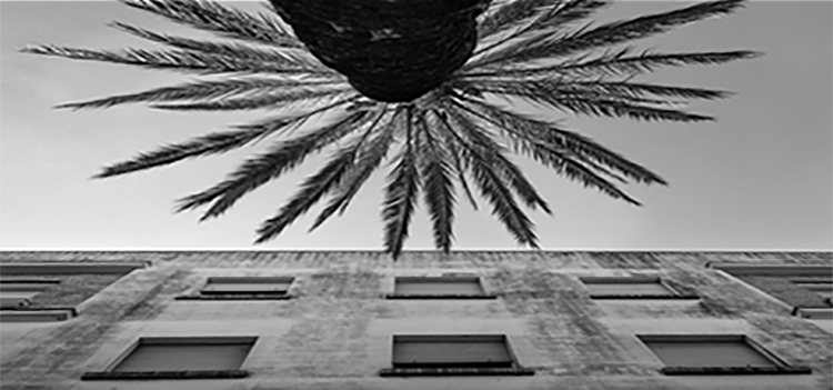 La exposición ‘La belleza del olvido’ se puede visitar hasta el 21 de julio en el edificio Constitución 1812