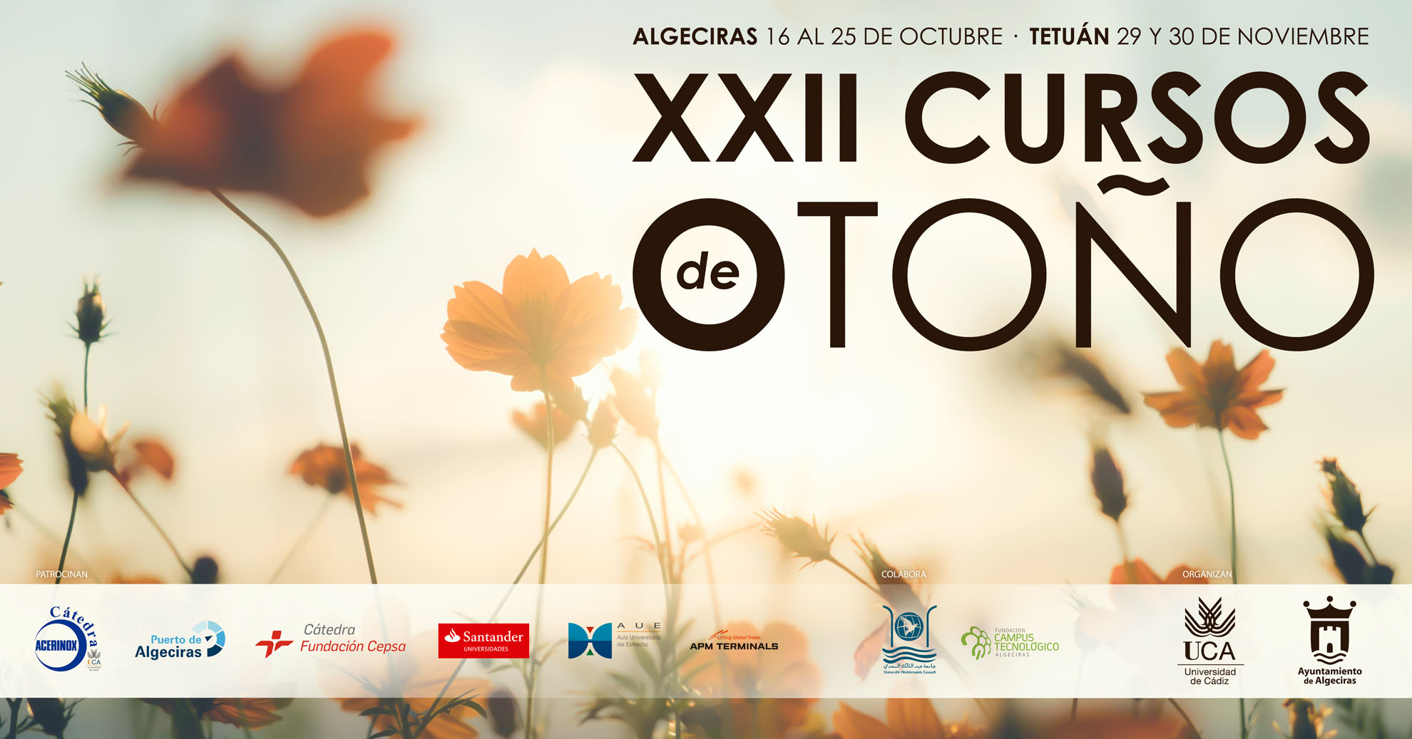 Gobernanza Portuaria: Buen gobierno y buena administración en los puertos