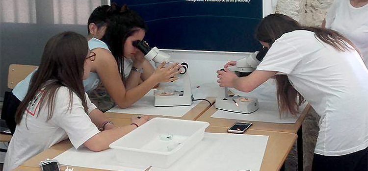 La actividad divulgativa ‘El cole va al (labi)Mar’ vuelve al Castillo de San Sebastián en el curso 2017/2018