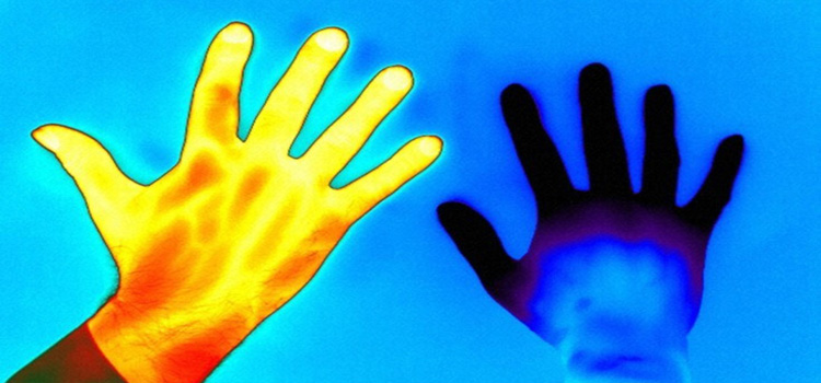 La UCA forma a investigadores de excelencia en fotónica a través del proyecto europeo PROMIS