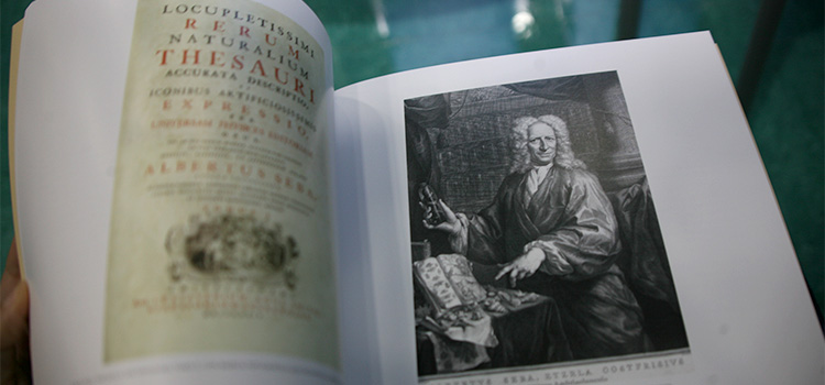 La UCA presenta el libro ‘Sueño ilustrado, memoria del mundo’ de Rosario Gestido, Ana Remón y José Joaquín Rodríguez