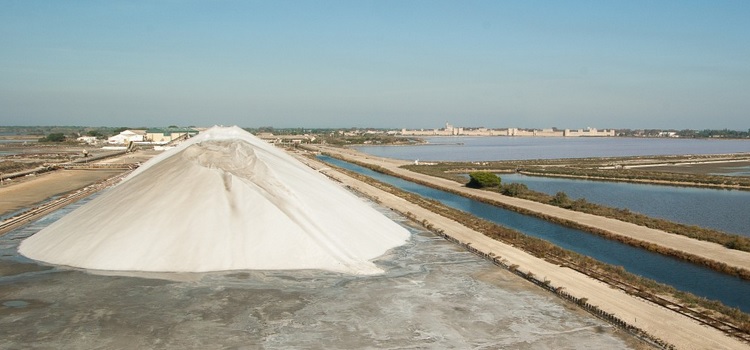 II Jornadas “Salinas del siglo XXI”