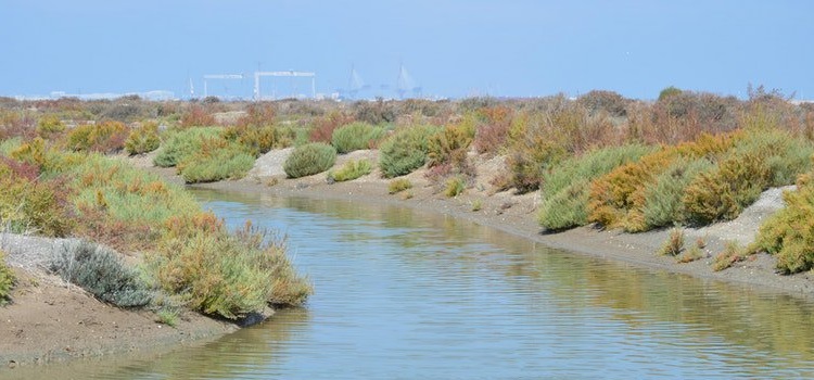 Ruta Científica por La Salina La Esperanza