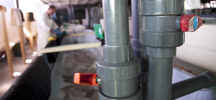 La UCA logra dos proyectos en la convocatoria PLEAMAR para el impulso de la sostenibilidad pesquera y acuícola