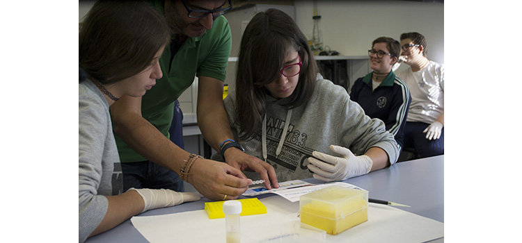 Semana de la Ciencia y la Tecnología