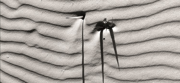 La UCA acoge las exposiciones de fotografía ‘Regeneración’ y ‘To name a mountain’