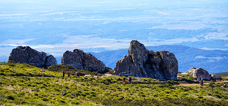 La UCA pone en marcha una nueva App para dar a conocer varias Rutas Científicas por la provincia de Cádiz