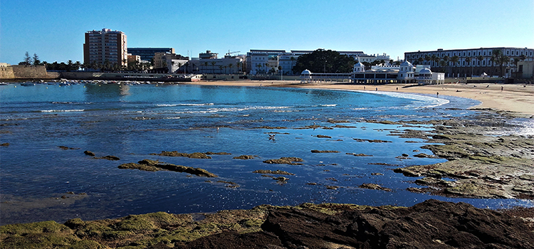 Investigadores de la UCA impulsan un nuevo proyecto centrado en radiografiar la fauna y flora de La Caleta