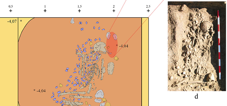 Investigadores de la UCA participan en un estudio arqueológico que refleja la importancia del medio marino en las sociedades neolíticas de la Bahía de Cádiz
