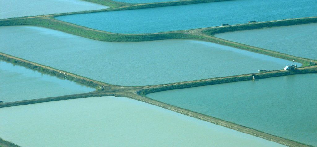 Investigadores de la UCA ponen en marcha el proyecto ACUINTEG para mejorar la integración de la acuicultura en espacios protegidos