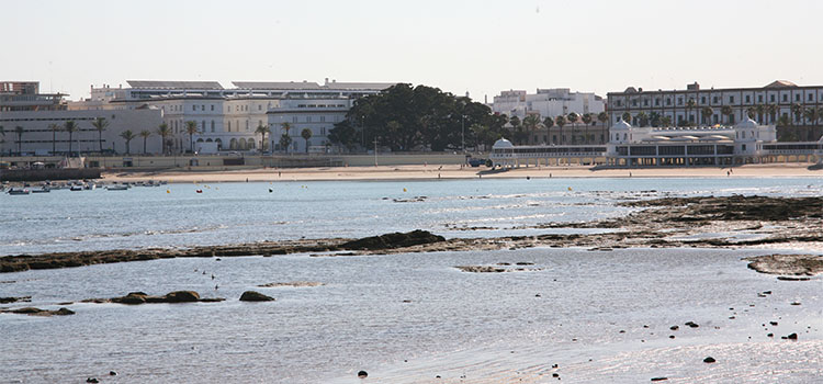 Investigadores de la UCA organizan la jornada informativa ‘La Caleta e Intermareales Rocosos Asociados’