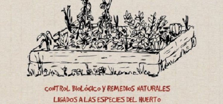 Aliados del Huerto. Jornada de intervención 6: Control biológico y remedios naturales ligados a las especies del huerto