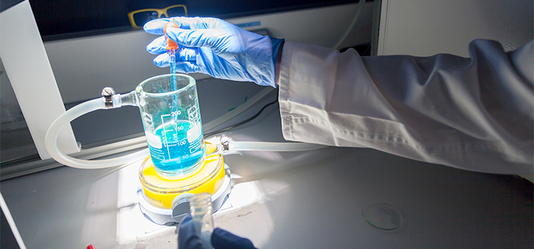 La Universidad de Cádiz convoca los I Premios a la Excelencia Investigadora