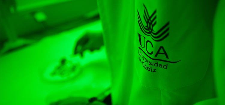 La Universidad de Cádiz lanza ayudas por valor de más de 6 millones de euros para proyectos de investigación
