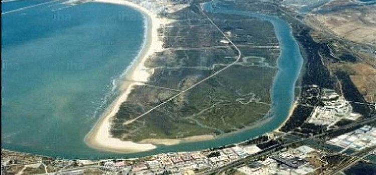 Actuaciones de eliminación de flora exótica invasora en el ecosistema litoral de la Playa de Levante