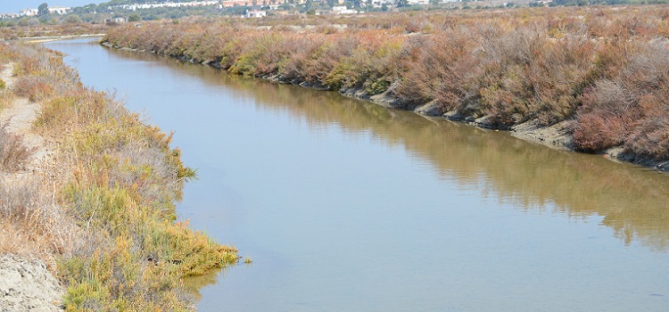 Recursos ambientales, culturales y económicos en salinas integradas en el Parque Natural Bahía de Cádiz.