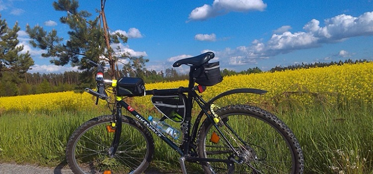 I Jornadas de Movilidad Sostenible, Desplazamiento Activo y Medio Ambiente