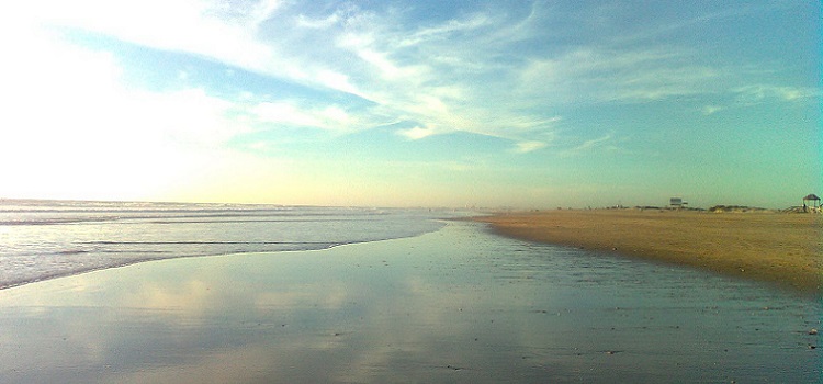 Mejora y conservación de la biodiversidad del ecosistema litoral protegido en el PN Bahía de Cádiz: Playa de Camposoto