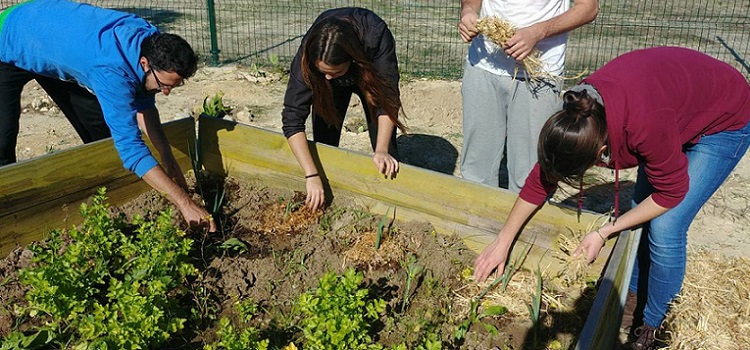 Convivencia intergeneracional en el espacio del proyecto participativo del Huerto Ecológico