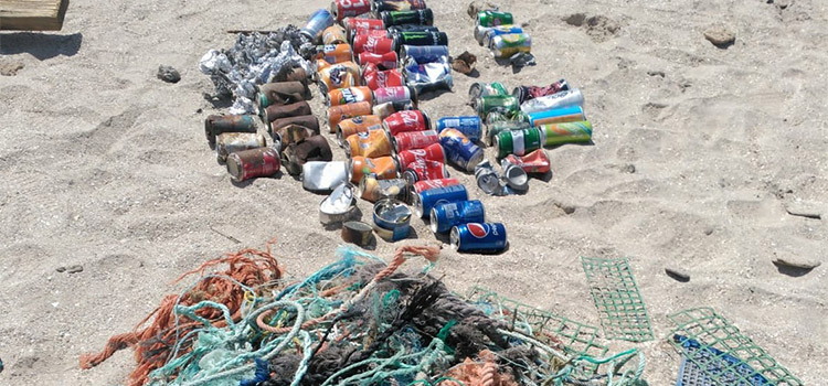 La UCA organiza una jornada de Mejora y Conservación de Espacios Litorales Protegidos en la playa de Camposoto