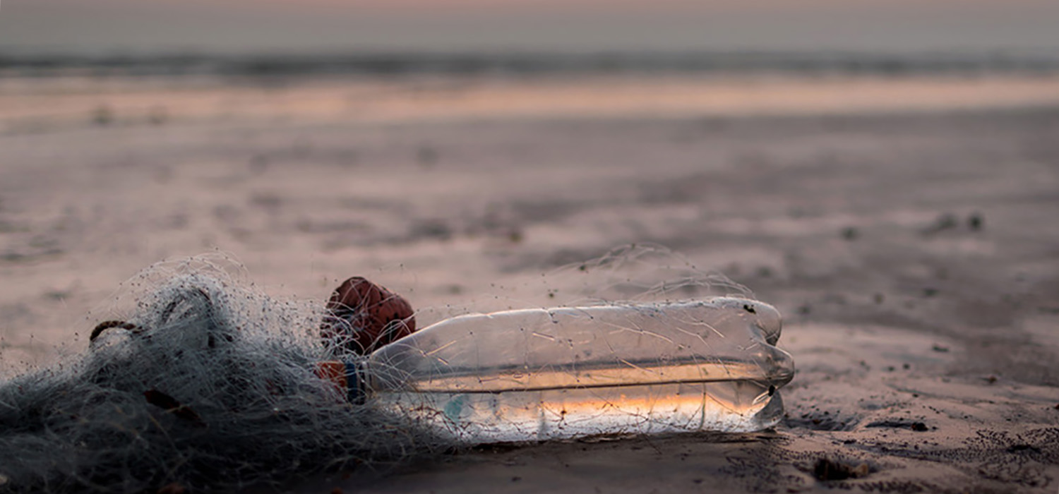 Investigadores de la UCA participan en la campaña ‘Mares Circulares’ impulsada por Coca-Cola