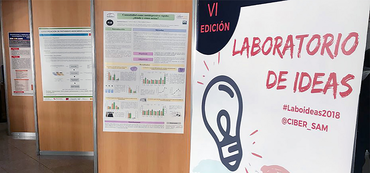 Expertos españoles en salud mental se reúnen  en San Fernando en la VI edición de ‘Laboratorio de Ideas’