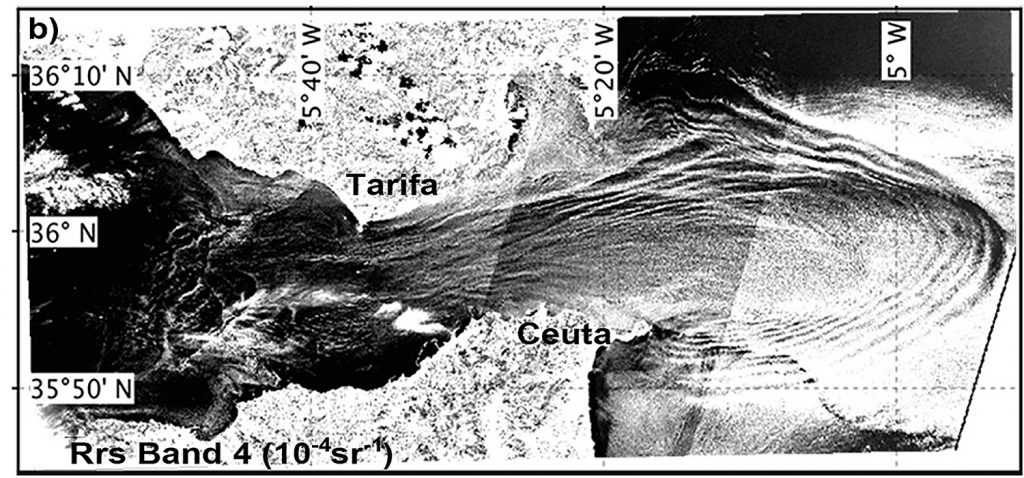 Científicos detectan por primera vez con imágenes de satélite las zonas de concentración de clorofila en el Estrecho de Gibraltar