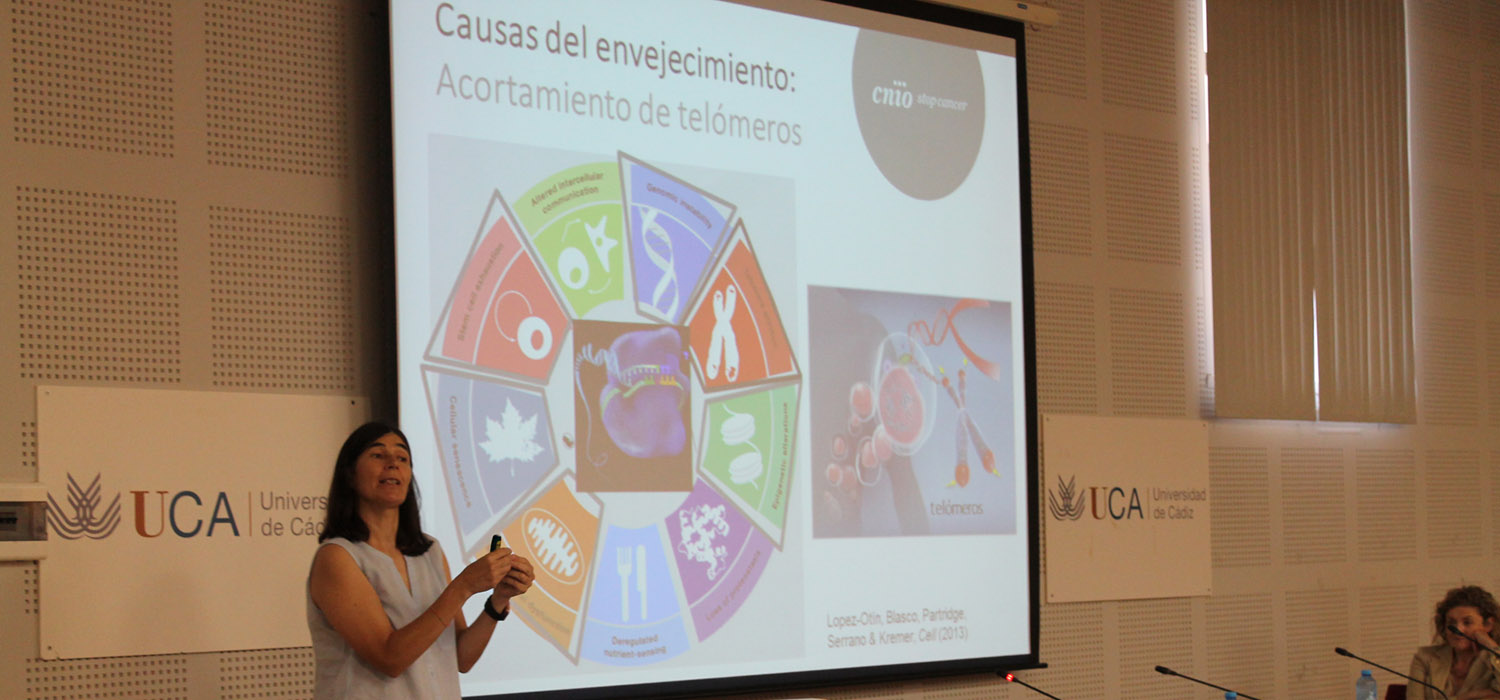 María Blasco: “el envejecimiento es el origen molecular” de las enfermedades que son hoy un desafío para la ciencia