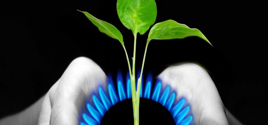 Comienza el seminario C03 “El gas natural, un combustible de futuro” en los XXXVIII Cursos de Verano de la UCA en San Roque