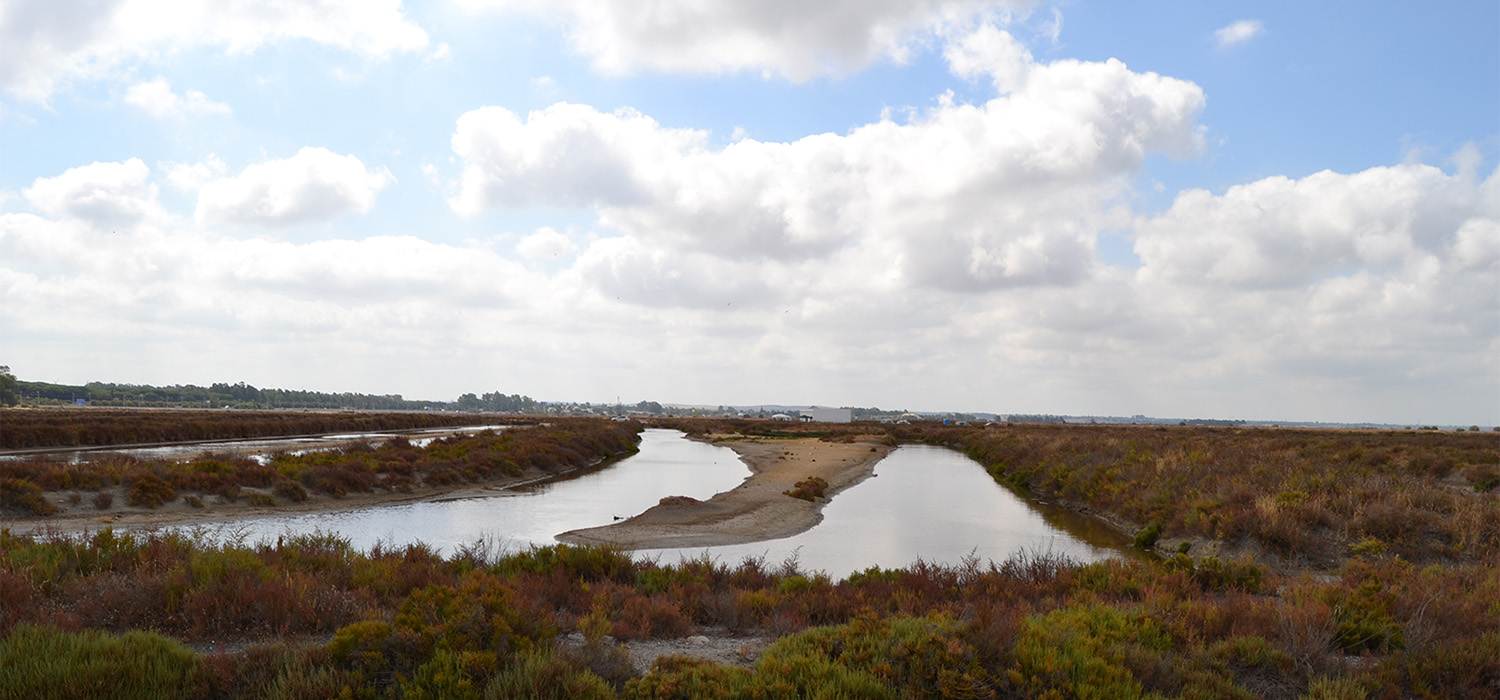 La salina ‘La Esperanza’ se consolida como un  laboratorio natural de la Universidad de Cádiz