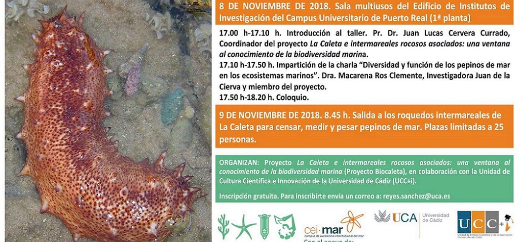 Taller de sensibilización sobre la recolección ilegal de Pepinos de Mar en el litoral gaditano