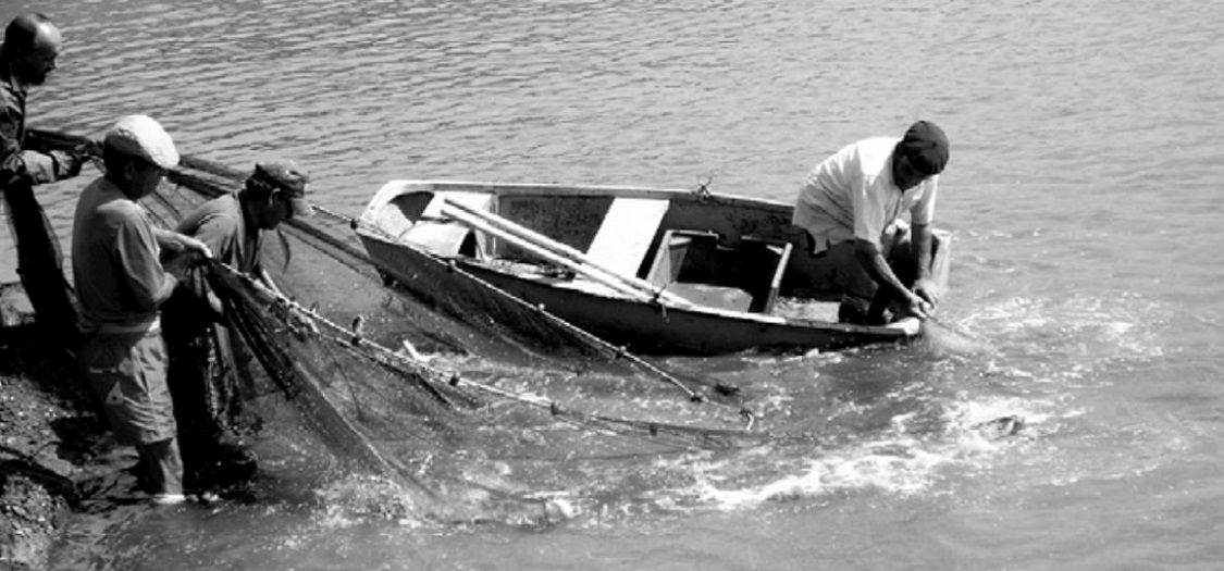 Día de la Acuicultura “Investigar para crecer”