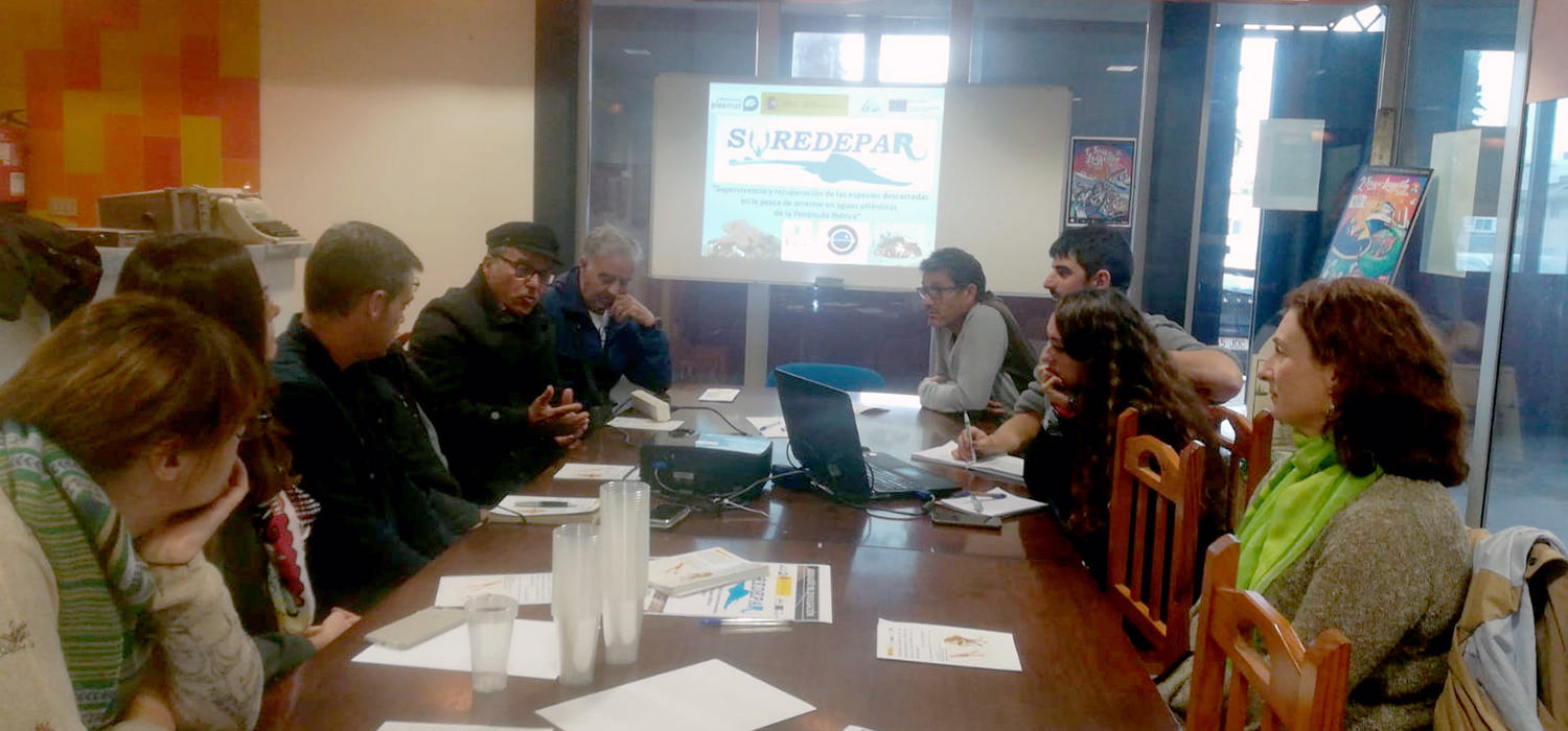 Científicos de la UCA constatan la alta tasa de supervivencia del pulpo y la cigala tras su captura en la pesca de arrastre