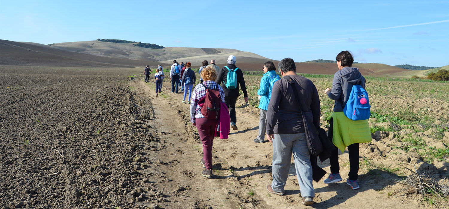 Medio centenar de personas participan en una nueva ruta científica centrada en el acueducto romano de Gades