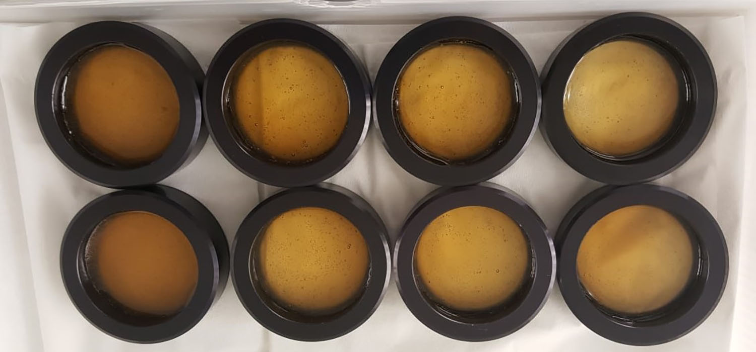 Investigadores de la UCA desarrollan un método que detecta la adulteración de la miel de manera rápida y sencilla