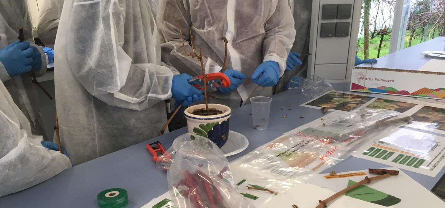 Un millar de alumnos de Secundaria participan en la actividad de divulgación científica ‘Ciencias around you’