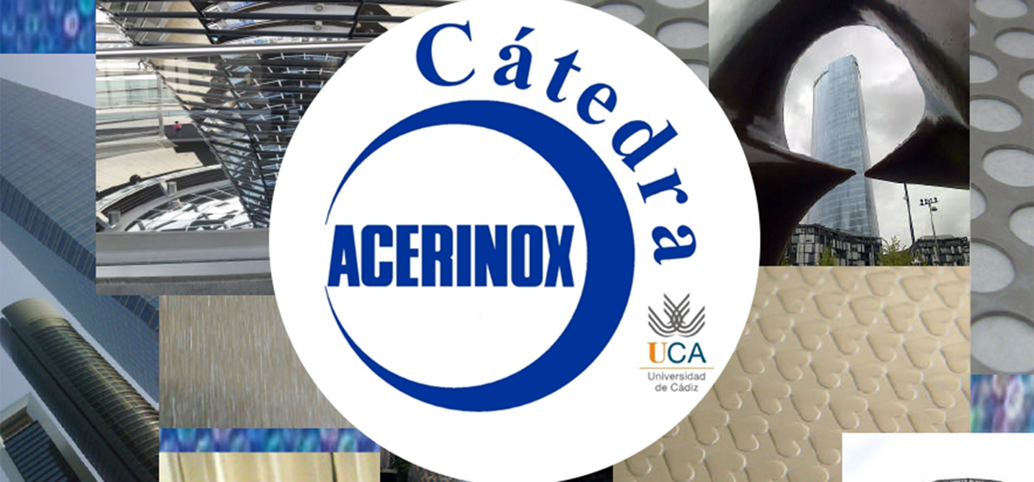VIII Jornadas Cátedra Acerinox – UCA