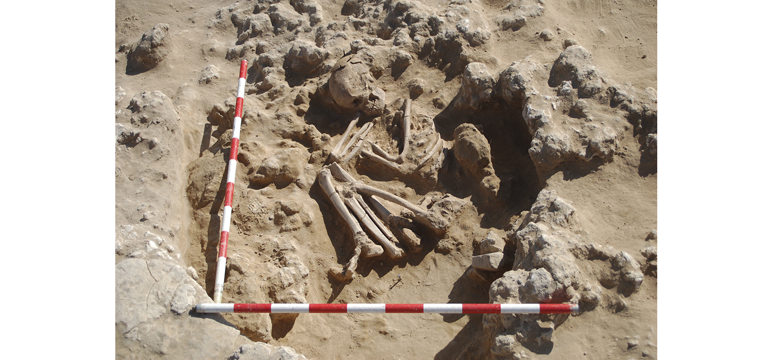 Investigadores de la Universidad de Cádiz participan en la reconstrucción de la historia genómica de la península Ibérica