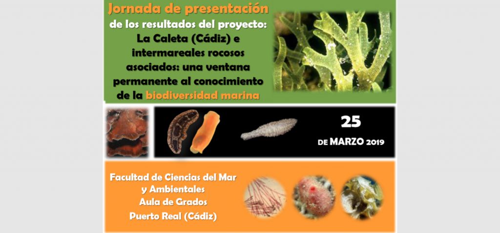 Jornada sobre los resultados del proyecto ‘La Caleta e intermareales rocosos asociados’ en el Campus de Puerto Real
