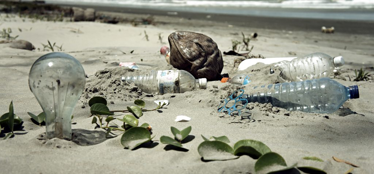 Científicos demuestran que los nanoplásticos alteran las funciones de una microalga básica en los ecosistemas marinos