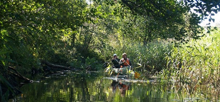 Ecoturismo en Ecosistema Costeros y Sostenibilidad