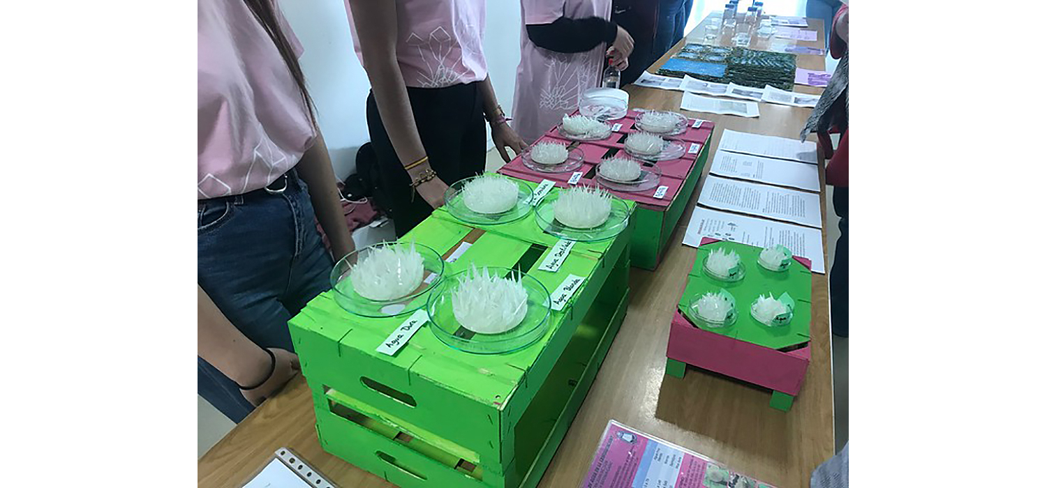 La Universidad de Cádiz acoge la final provincial de una nueva edición del Concurso de Cristalización en la Escuela