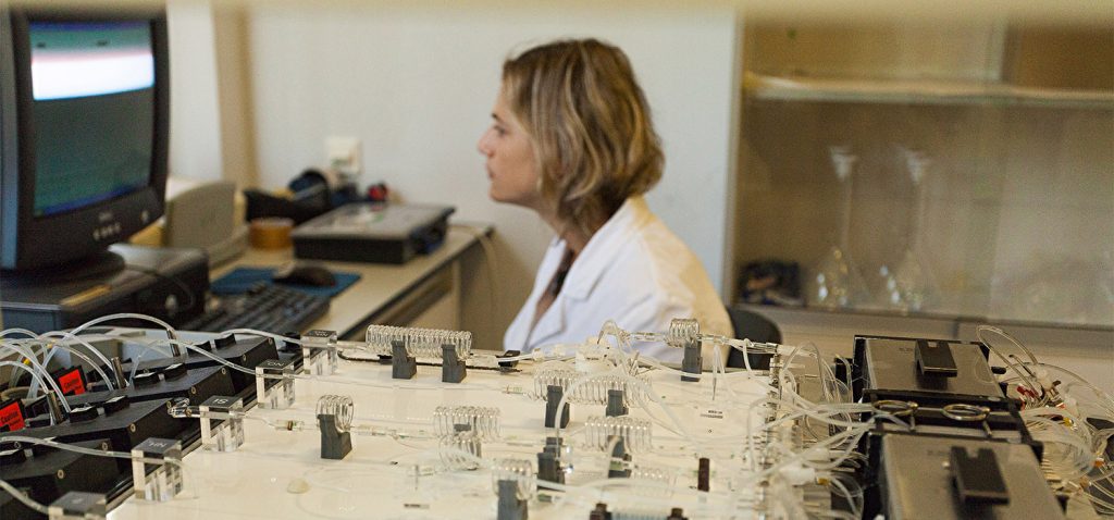 CEI·Mar financia 14 cursos de postgrado en las universidades de Cádiz, Granada, Málaga, Almería, Huelva y Tetuán