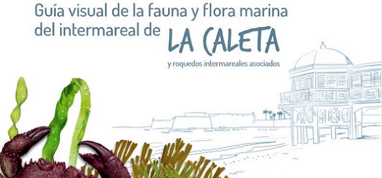 Presentación de la ‘Guía visual de la flora y fauna marina de La Caleta’