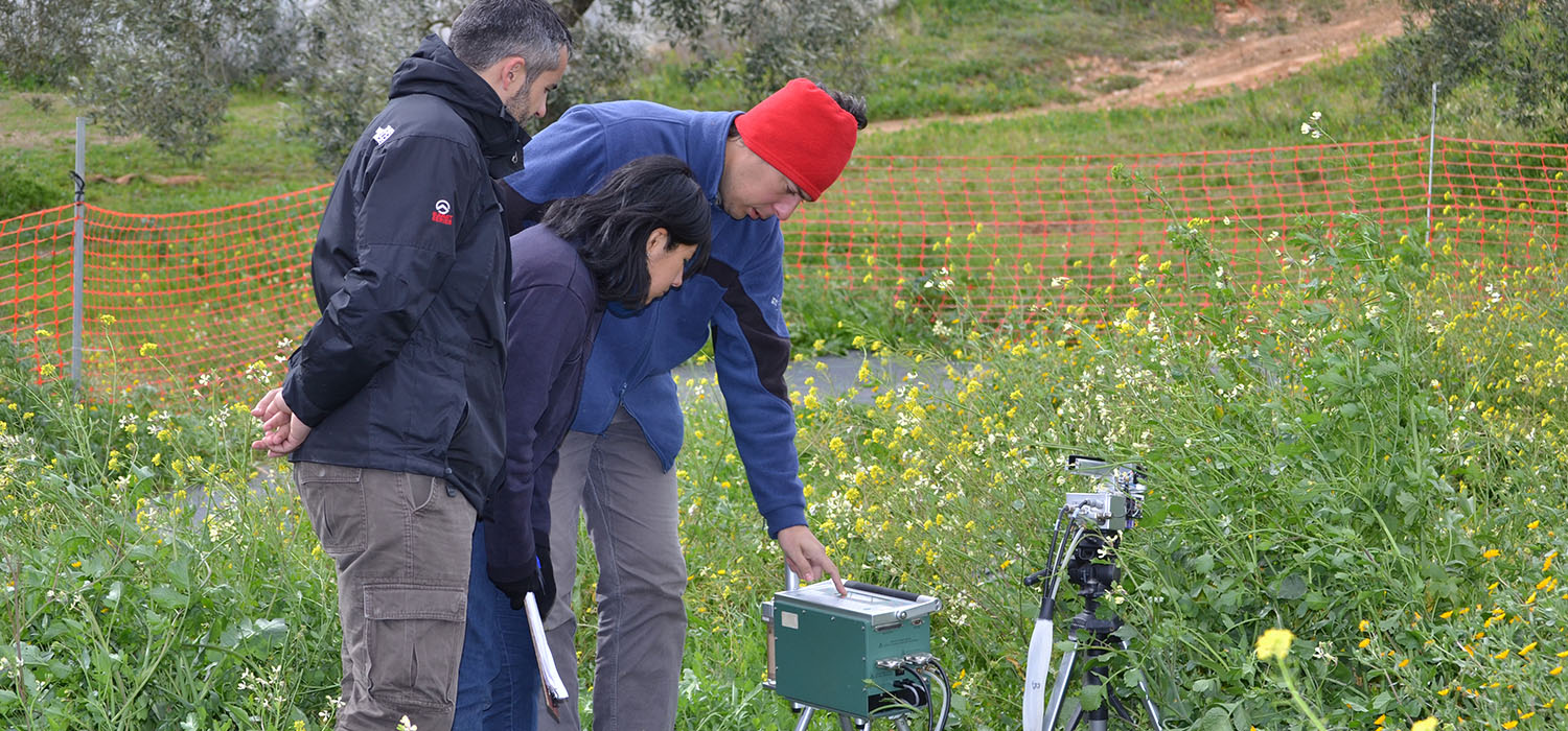Rasgos fisiológicos y capacidad de adaptación ante cambios climáticos bruscos, claves de la convivencia entre especies vegetales