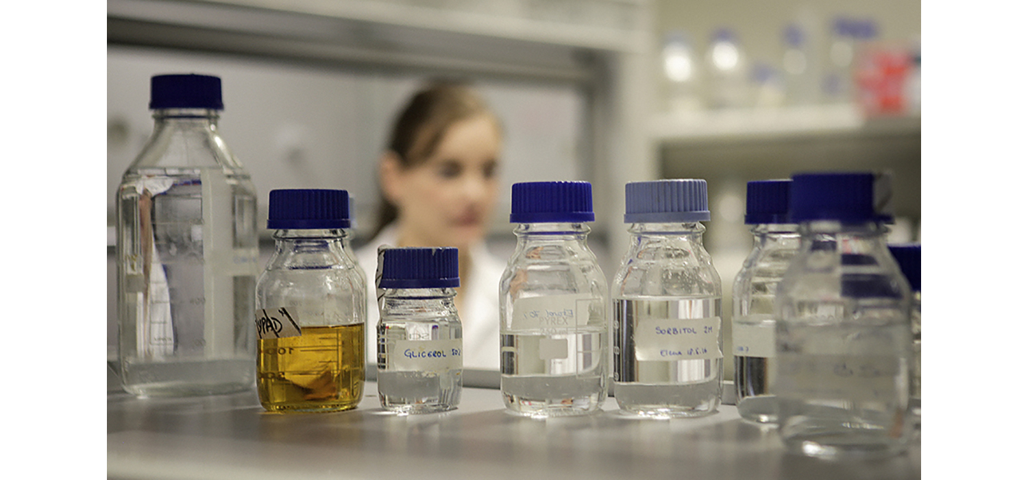 El Consejo de Gobierno de la Junta aprueba cuatro nuevo másteres y un doctorado para la UCA