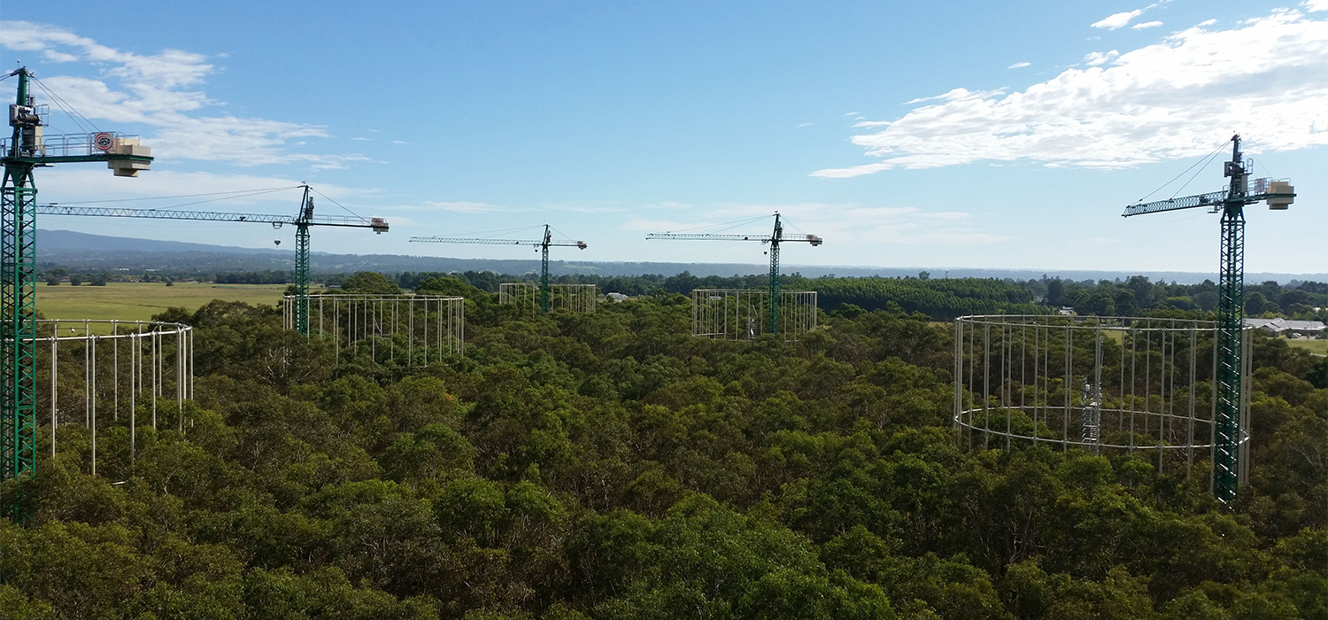 Investigadores de la UCA evidencian que el aumento de CO2 provoca desajustes de los ciclos de nutrientes del suelo
